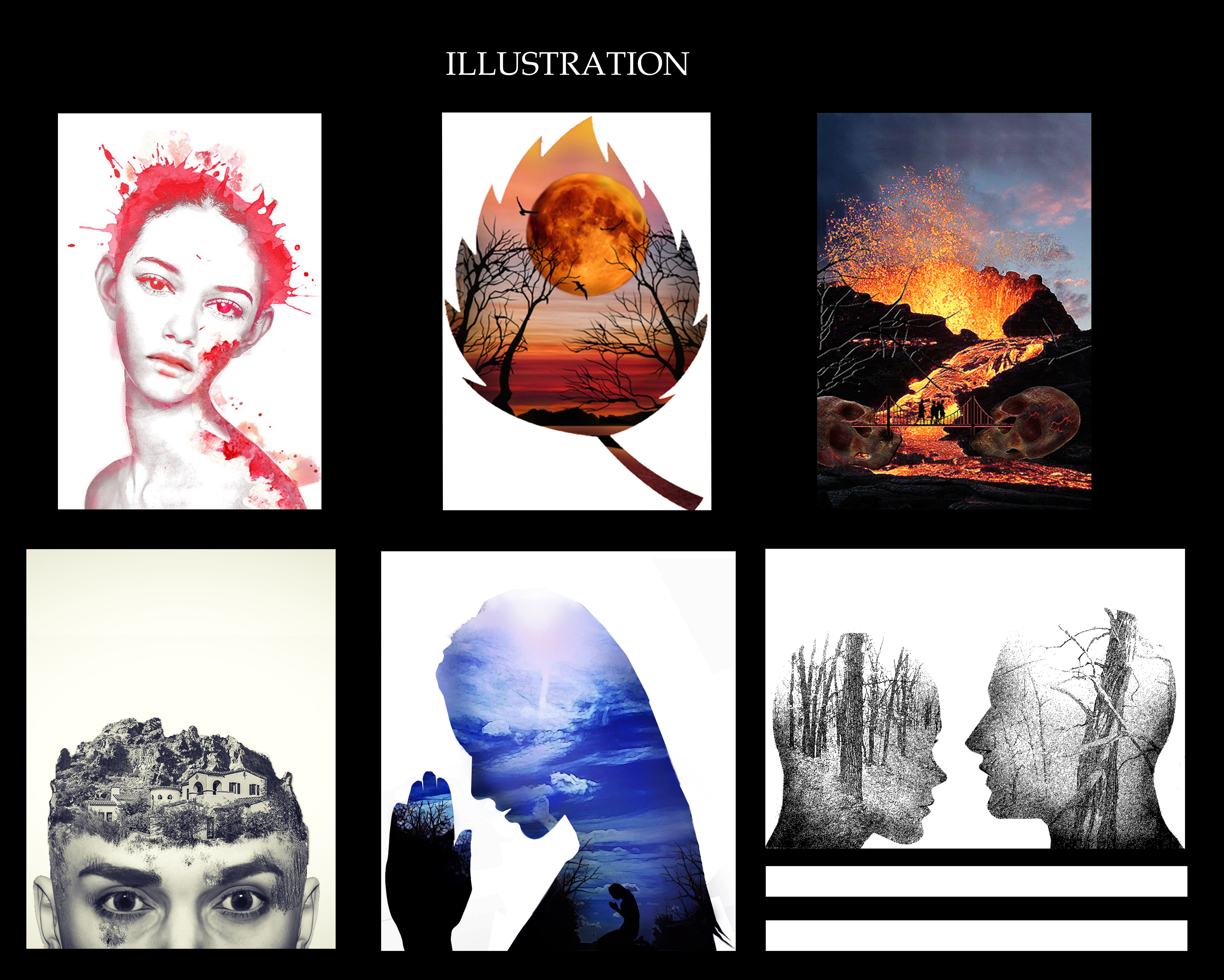 SAMPLE ILLUSTRATIONS